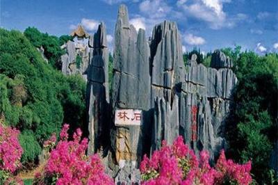 石林景區(qū)“五一”力推會(huì)員卡，200元暢游四大主景區(qū)全年無(wú)限次